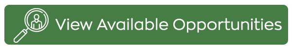 job-search-button Search Job Opportunities